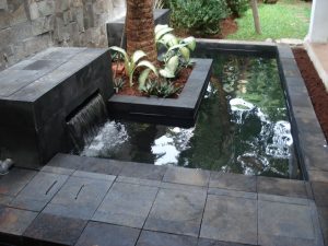 Alasan Utama Memiliki Kolam Koi di Rumah