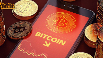 Kripto: Keuntungan serta Jenis- jenisnya