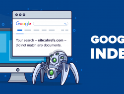 Berapa Lama Google untuk Indeks Website Baru