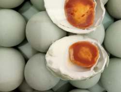 Telur Asin Brebes yang Paling Enak ? Coba Ini !