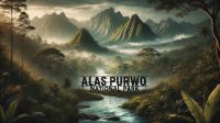 Misteri dan Keindahan Taman Nasional Alas Purwo