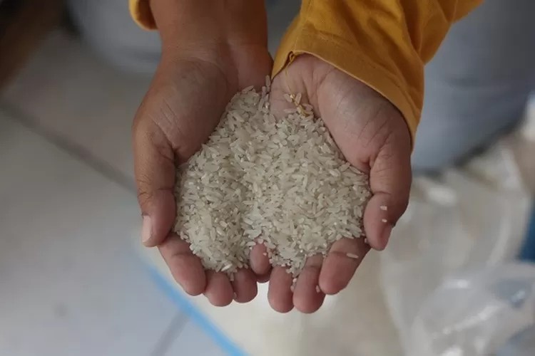 Beras Premium Oplosan